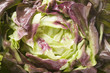 burgundy lettuce
