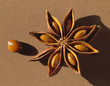 star anise, opened