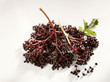 a bunch of fresh elderberries
