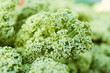 kale