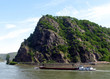 Lorelei im Frühjahr