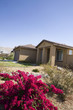 New House With Landscaped Yard