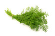 Dill isolated on white background Dill isolated on white background