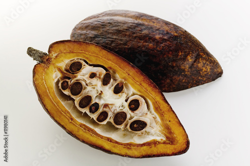 Foto: cacao pod, halved cacao pod, halved