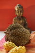 still life with durian and pitahayas
