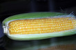 Corn on the Cob Corn on the Cob
