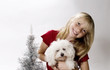 Christmas Puppy!