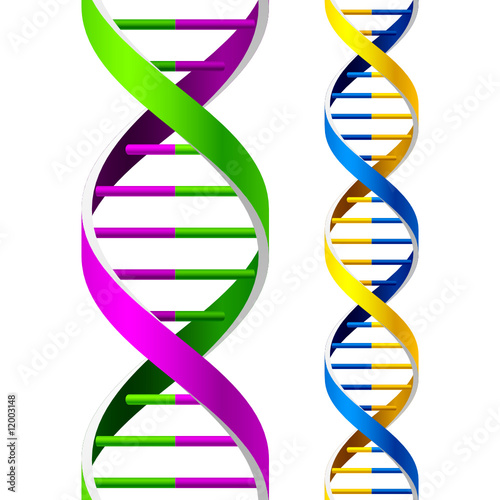 Vector: Vector DNA Strands. Seamless. Vector DNA Strands. Seamless.