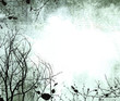 grunge frame with wintry tree silhouettes and subtle lace detail grunge frame with wintry tree silhouettes and subtle lace detail