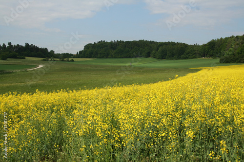 Foto: Natur Natur