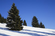 Winterlandschaft_Gebirge