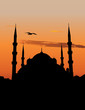 Vector silhouette of the Blue Mosque in Istanbul