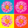 Pop art Pop art