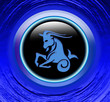 magic zodiac: capricorn