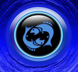 magic zodiac: pisces