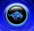 magic zodiac: taurus
