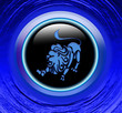 magic zodiac: leo