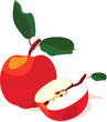 Apples, the whole and half, a vector