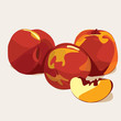 Mature peaches, vector