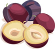 Plums, a vector
