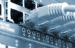 network cables connected to switches network cables connected to switches