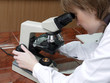 Scientist looking through microscope