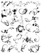 set of antique curve vectors set of antique curve vectors