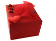red gift-box