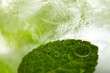 Mint ice vodka