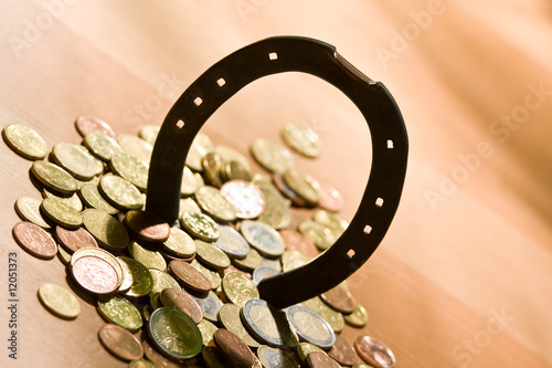 Photo: horse shoe horse shoe