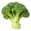 broccoli broccoli
