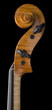 Close up of a violin (scroll, pegbox and neck) Close up of a violin (scroll, pegbox and neck)