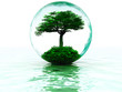 abstract liquid bubble with tree inside abstract liquid bubble with tree inside