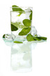 Mint ice vodka