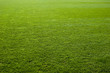 Green grass texture of a soccer field.