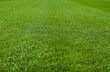 Green Grass Soccer Field