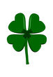 Lucky Four Leaf Clover - Saint patricks Day