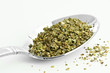 Marjoram