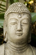 buddha buddha