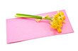 envelope