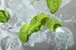 Leaves of mint in ice