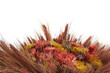 A bouquet of wheat and flowers