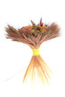 A bouquet of wheat and flowers