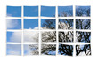 Collage of Photos working as One Collage of Photos working as One