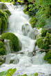 FAST STREAM RAPIDS