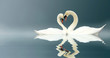 Love Swans Love Swans