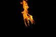 Torches feu 3