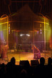 cirque, dompteur dans une cage