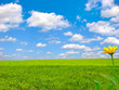 nature landscpe