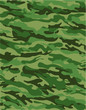 Green camouflage Green camouflage